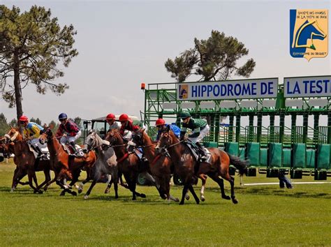 australia race cards|12:40 La Teste De Buch .